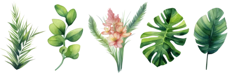 Foto op Plexiglas Monstera Tropical flowers and green leaves