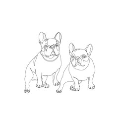 Dogs pug, continuous line drawing, pet small tattoo, pug-dog print for clothes, silhouette one single line on white background, isolated vector illustration.