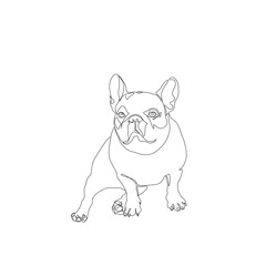 Cute dog, pug, continuous line drawing, a pet small tattoo, pug-dog print for clothes, silhouette one single line on white background, isolated vector illustration.