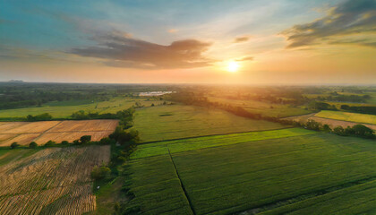 aerial view of verdant agricultural fields in countryside golden sunset over vast rural farmland drone perspective lush green crop stretching to horizon aerial landscape
