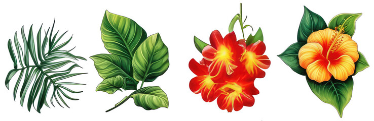 Tropical flowers and green leaves