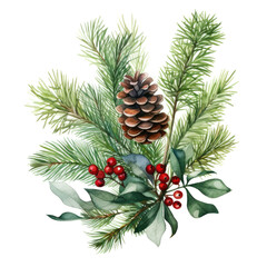 Stunning watercolor depiction of pine needle branch with cone and red berries on white backdrop. Winter holiday celebration