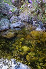 Clear mountain rock pool