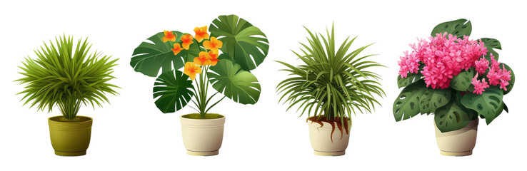 Tropical plants and flowers in pots