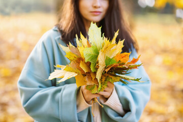 woman picking a bouquet of yellow leaves in the autumn park close-up. Bouquet of maple leaves in female hands