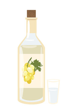 Glass Chacha bottle. Strong alcoholic drink Chacha. Georgian Kartuli Grape Press Brandy. Flat vector Illustartion