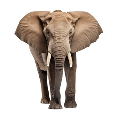 Walking Elephant made with generative AI - transparant background - png	

