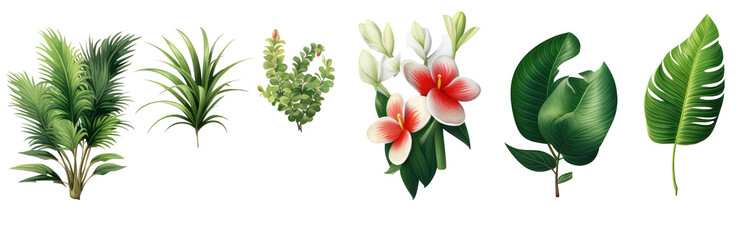 Tropical flowers and green leaves