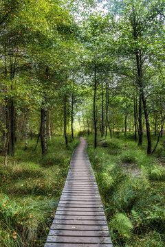 Wanderweg Hohes Venn Belgien