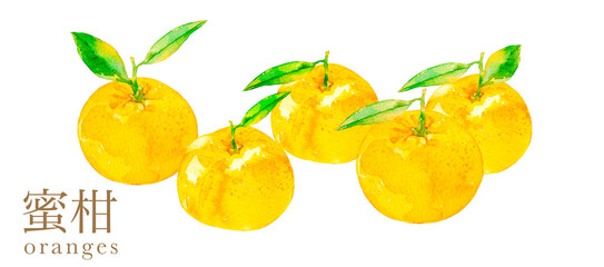 水彩で描いた甘いみかんのイラスト