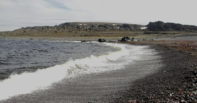 Waves crashing on a rocky beach along the road 8100 to Hamningberg in summer, Varanger Peninsula,Norway.