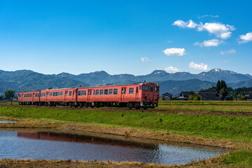 田園地帯を走る城端線の列車