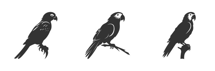 Parrot silhouette isolated on a white background. Vector illustration