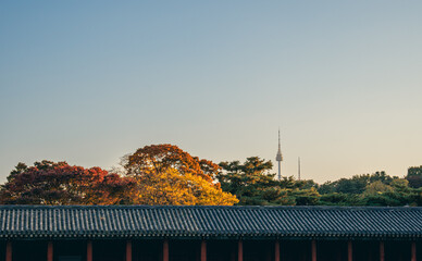 Encounter with autumn