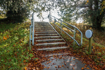A flight of stairs outside covered in fallen autumn leaves. Handrails at the side of the steps...