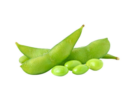 green soybeans transparent png
