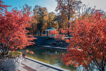 Obraz premium Autumn sunny morning near water concept photo. Fall season, red trees in a pots.