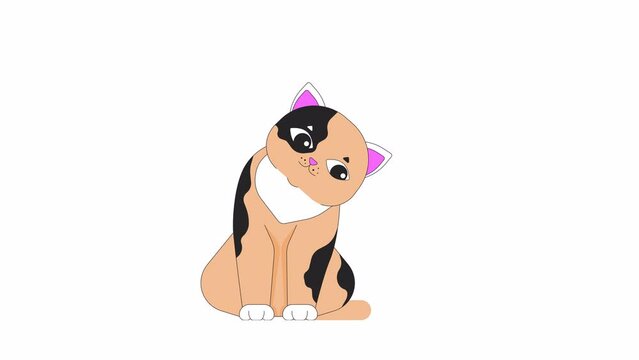 Cute spotted cat tilting head line 2D character animation. Curious feline pet blinking flat color cartoon 4K video, alpha channel. Side eye kitten domestic animated animal on white background