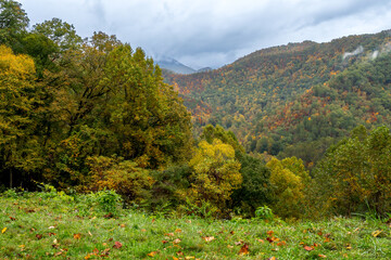 autumn in the mountains