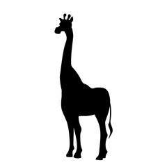 Silhouette of the African savannah animal giraffe. Vector graphics.