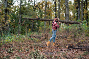 A lumberjack carrying a long tree trunk on his shoulder through the forest.
