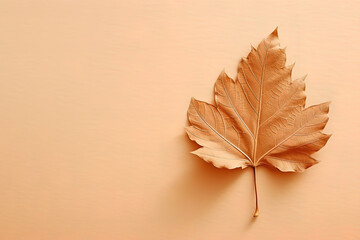 Autumn dried leaf on a beige background with copy space