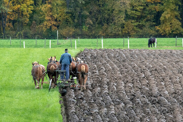 An Amish farmer plowing a farm field with team of work horses.