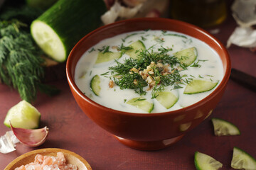 A bowl with Tarator cold soup - traditional Bulgarian dish	