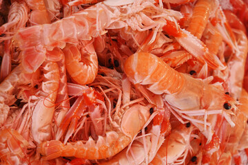 Shrimps at the local fish market Vucciria in Palermo, Italy