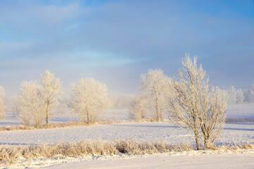 Frosty countryside landscape on a cold winter day