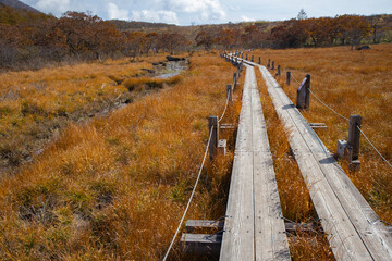 秋の那須高原 沼原湿原