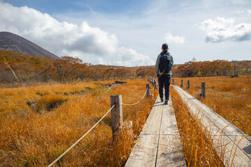 秋の那須高原沼原湿原を歩く女性