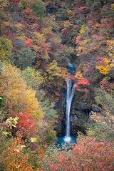 紅葉と駒止の滝