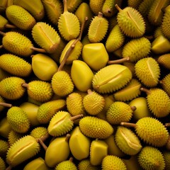 durian fruit illustration background
