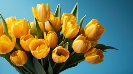 Obraz premium Bouquet Yellow Tulips On Blue Background, Background Image, Valentine Background Images, Hd