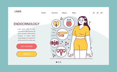 Endocrinology web banner or landing page. Endocrine system organs, pancreas thyroid gland, pituitary, adrenal gland and ovaries. Healthcare and medical treatment. Flat vector illustration