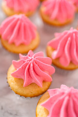 Mini Vanilla Cupcakes with Pink Buttercream Frosting