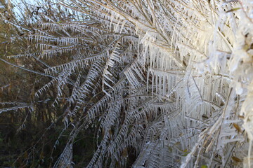 Winter on the seashore. Natural ice sculptures created by wind and wave.