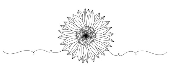 sunflower line art. summer elements