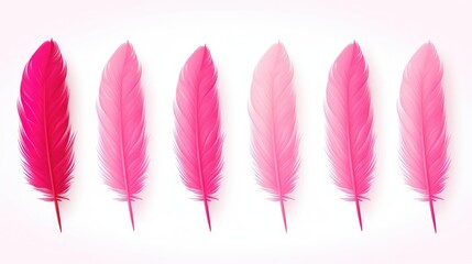 Ethereal Pink Feathers on White Background