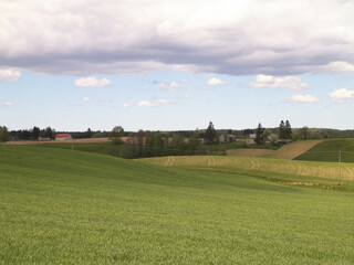 Fototapeta na wymiar Cloudy sky over fields and meadows.