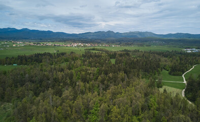 Slovenian forest photographed with a drone camera