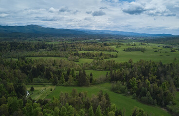 Fototapeta na wymiar Idyllic landscape in Slovenia. Aerial drone photo of a beautiful forest trees and cloudy sky