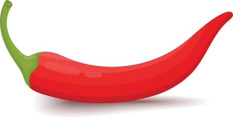 Red hot chili pepper, vector pepper isolated on transparent and white background, png