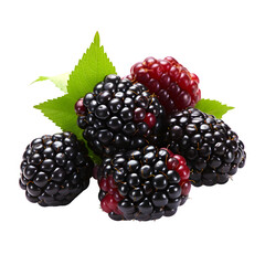 Blackberries in a pile isolated on a transparent and white background