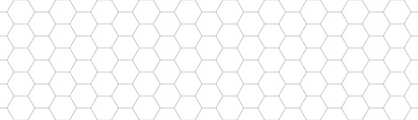 Foto op Canvas hexagon geometric pattern. seamless hex background. abstract honeycomb cell. vector illustration. design for the background flyers, ad honey, fabric, clothes, texture, textile pattern © dmutrojarmolinua