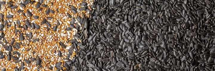 Poster Grain mixture and black sunflower seeds for wild birds. Birdseed for outdoor feeders as background. Top view. © geshas