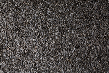 Heap of black oil sunflower seeds as background. Top view.