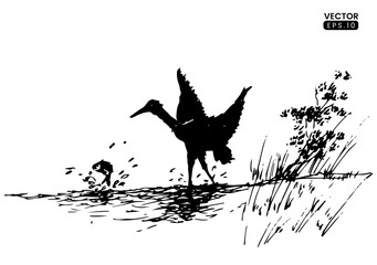 Landscape sketch bird looking for food. Hand drawn illustration converted to vector. Black sketch on white background.

Vector Format