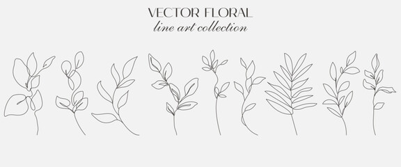 Set Of Plants, Flowers and Leaves Branches Isolated on White Background. Flowers Illustration Collection for Minimalist Modern Design. Vector EPS 10 
